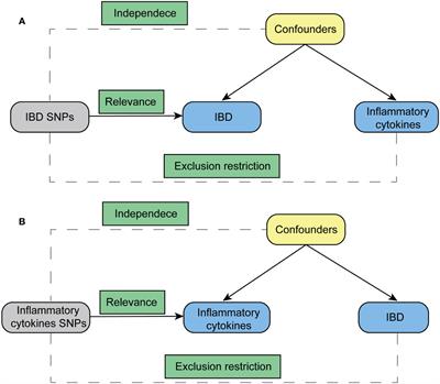 Associations of inflammatory cytokines with inflammatory bowel disease: a Mendelian randomization study